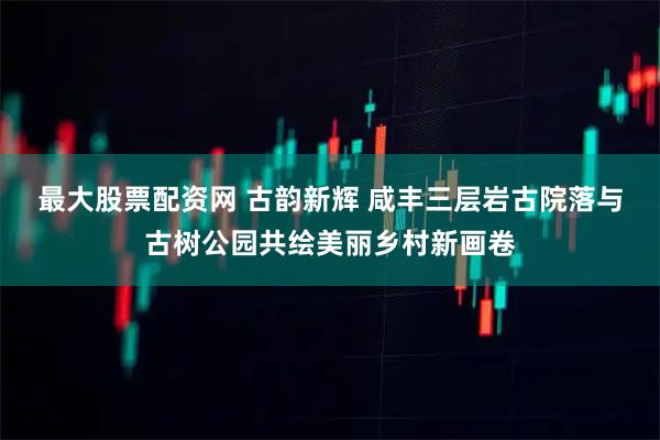 最大股票配资网 古韵新辉 咸丰三层岩古院落与古树公园共绘美丽乡村新画卷
